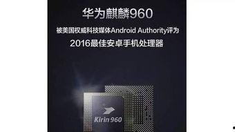 国产二页,引领科技潮流的创新之作